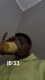 Anderson