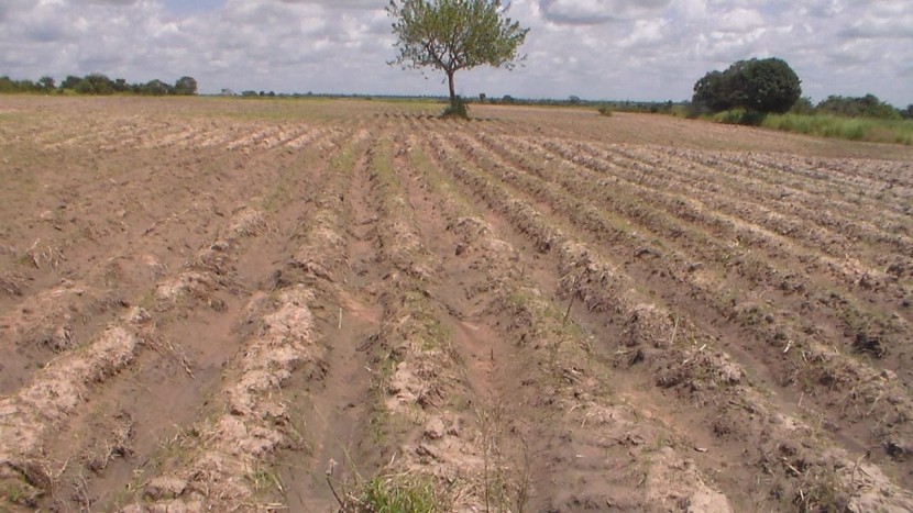 Venda Fazenda 2000 hectares Kangandala- Malange