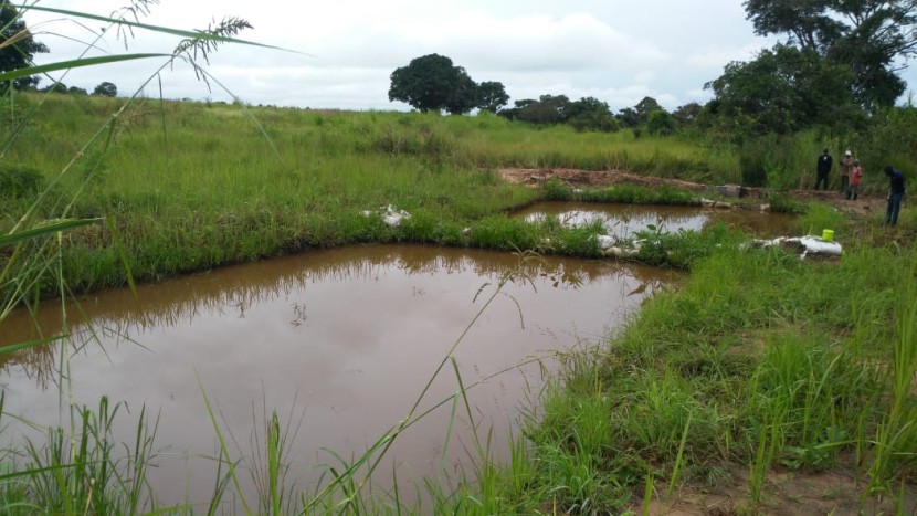 Venda Fazenda 2000 hectares Kangandala- Malange