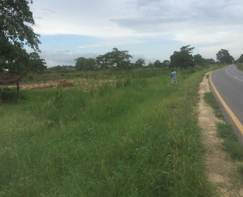A venda TERRENO NA ZONA ECONOMICA EM VIANA