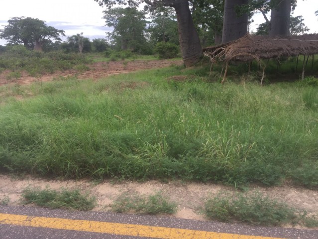 Venda TERRENO NA ZONA ECONOMICA EM VIANA