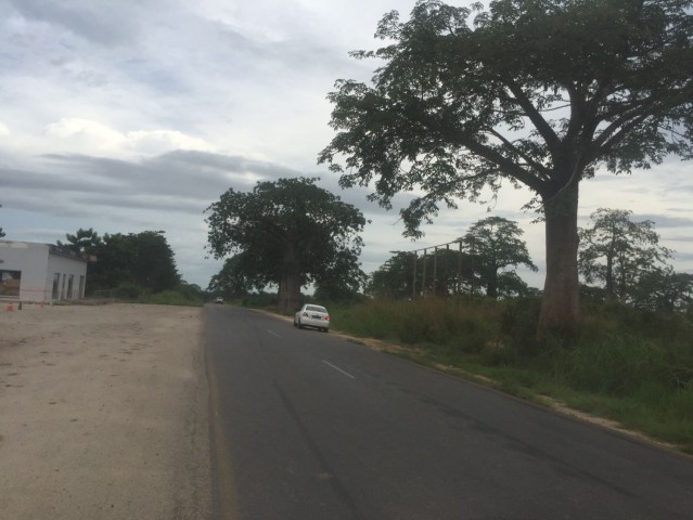 Venda TERRENO NA ZONA ECONOMICA EM VIANA