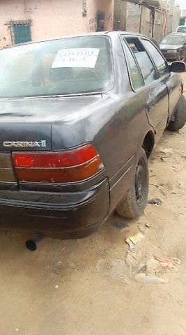 Venda CARINA 2