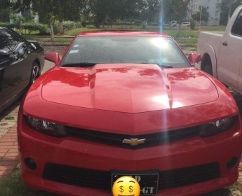 A venda Camaro limpo