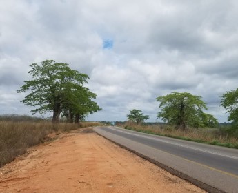 A venda TERRENO DE PRIMEIRA LINHA CATETE - CASSONECA