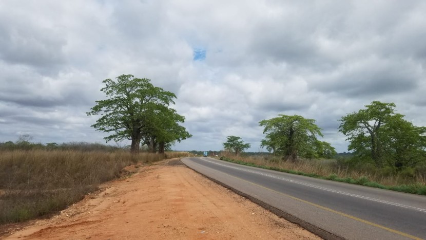 Venda TERRENO DE PRIMEIRA LINHA CATETE - CASSONECA