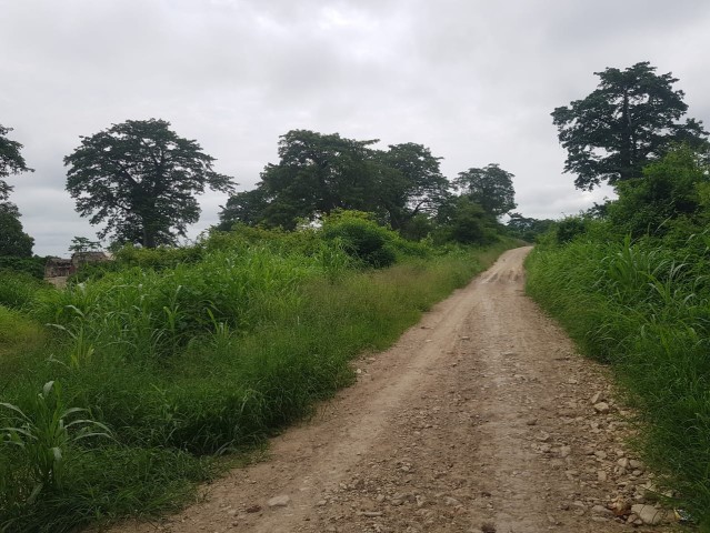 Venda TERRENO PROPÍCIO PARA AGRICULTURA