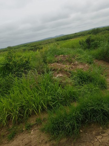 Venda TERRENO PROPÍCIO PARA AGRICULTURA