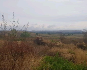 A venda TERRENO PROPÍCIO PARA AGRICULTURA