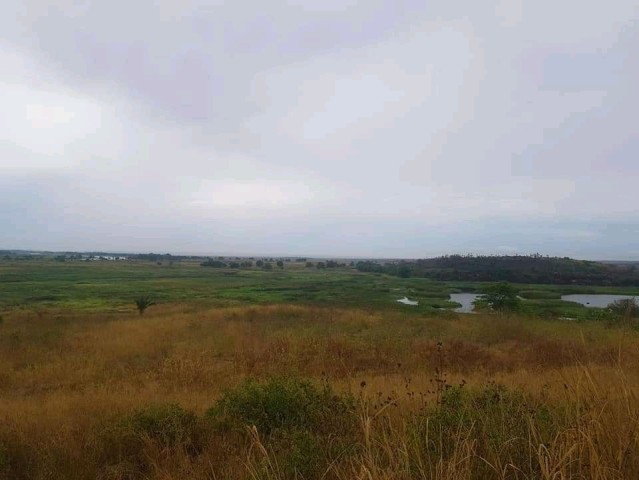 Venda TERRENO PROPÍCIO PARA AGRICULTURA