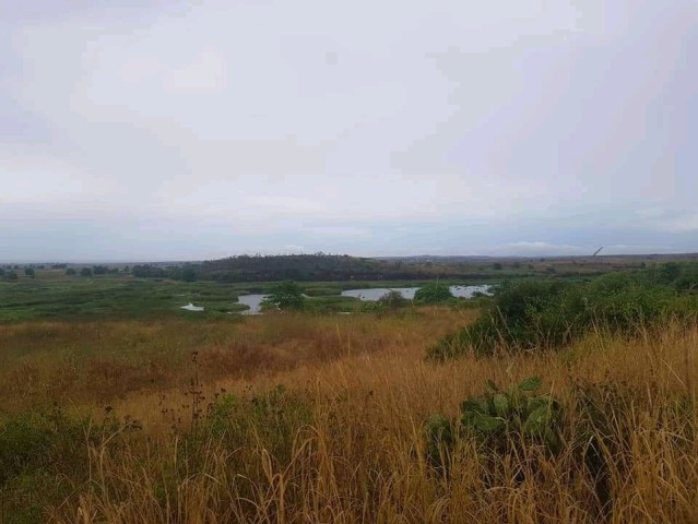 Venda TERRENO PROPÍCIO PARA AGRICULTURA