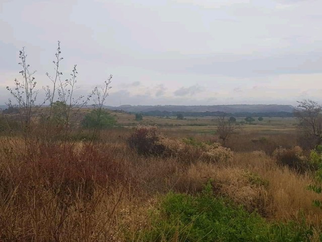 Venda TERRENO PROPÍCIO PARA AGRICULTURA