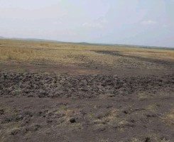 A venda TERRENO PROPÍCIO PARA AGRICULTURA