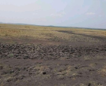 A venda TERRENO PROPÍCIO PARA AGRICULTURA