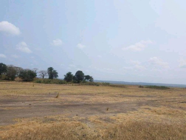 Venda TERRENO PROPÍCIO PARA AGRICULTURA