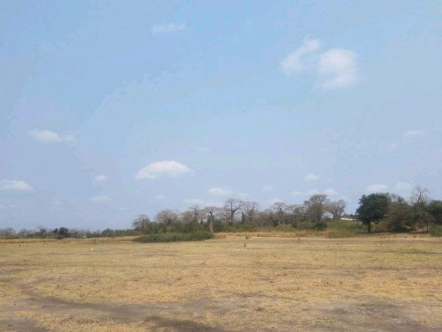 Venda TERRENO PROPÍCIO PARA AGRICULTURA