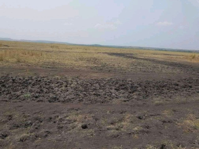 Venda TERRENO PROPÍCIO PARA AGRICULTURA