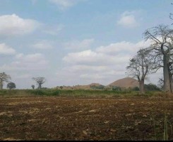A venda TERRENO PROPÍCIO PARA AGRICULTURA