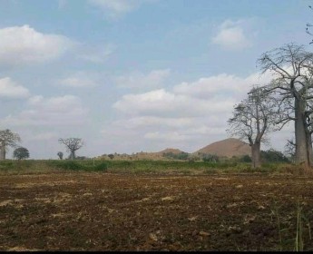 A venda TERRENO PROPÍCIO PARA AGRICULTURA