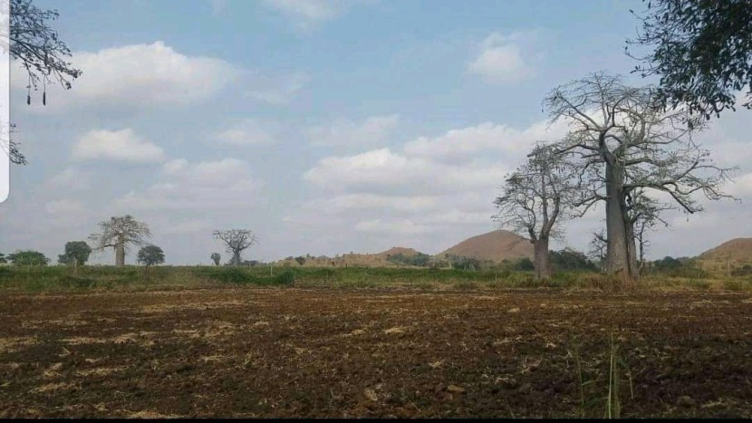 Venda TERRENO PROPÍCIO PARA AGRICULTURA
