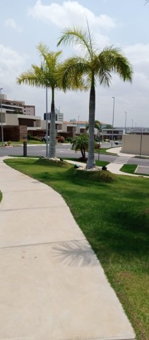 Venda V5, 5 suítes no Condomínio Malunga