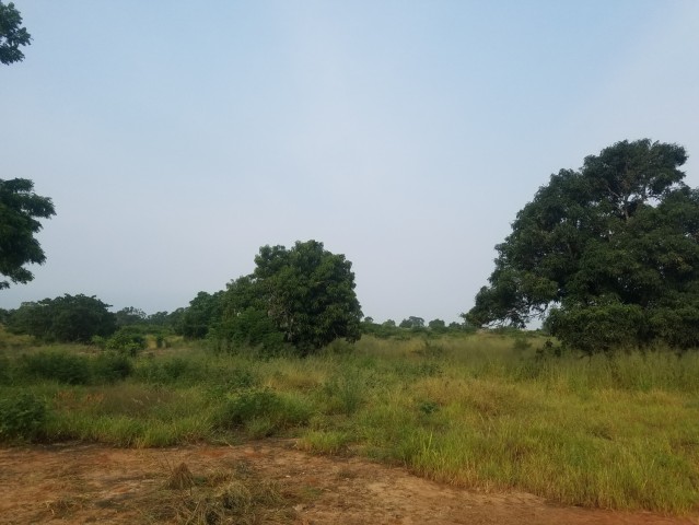 Venda TERRENO DE PRIMEIRA LINHA CATETE KM-36