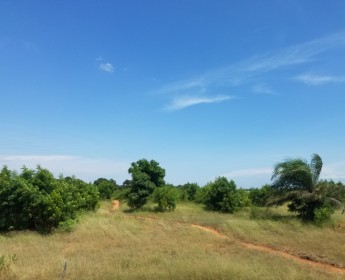 A venda TERRENO LOCALIZADO NO MUNICÍPIO DE KALANDULA