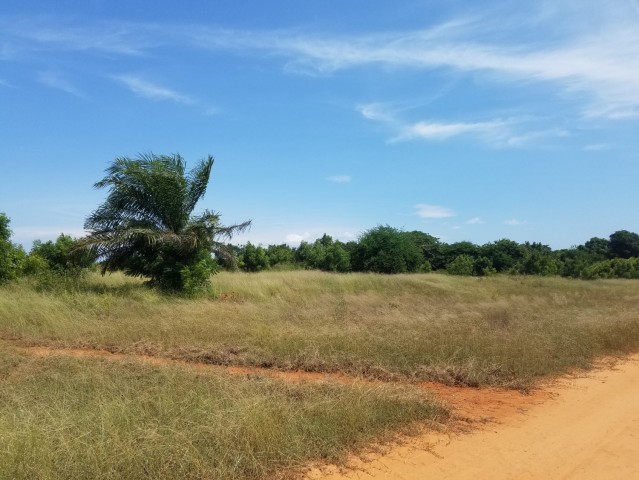 Venda TERRENO LOCALIZADO NO MUNICÍPIO DE KALANDULA