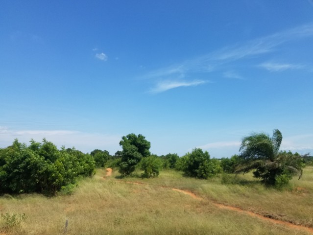 Venda TERRENO LOCALIZADO NO MUNICÍPIO DE KALANDULA