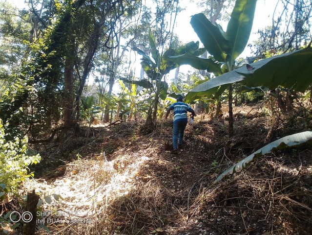 Venda Fazenda localizada no Bengo