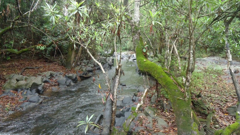 Venda Fazenda localizada no Bengo
