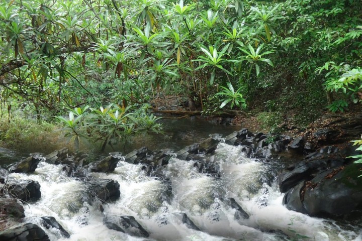 Venda Fazenda localizada no Bengo