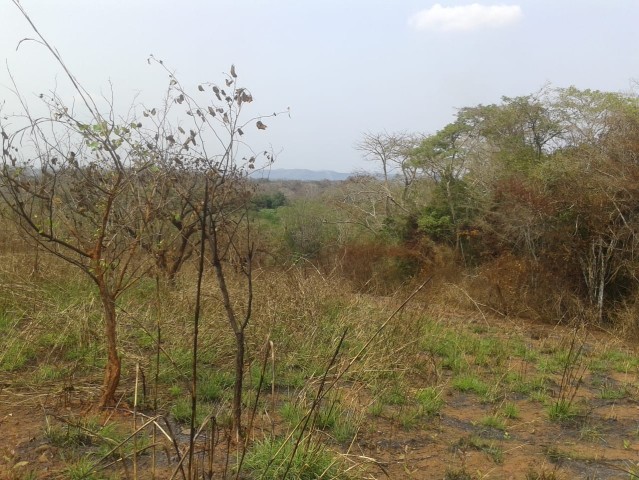 Venda Fazenda localizada no Bengo