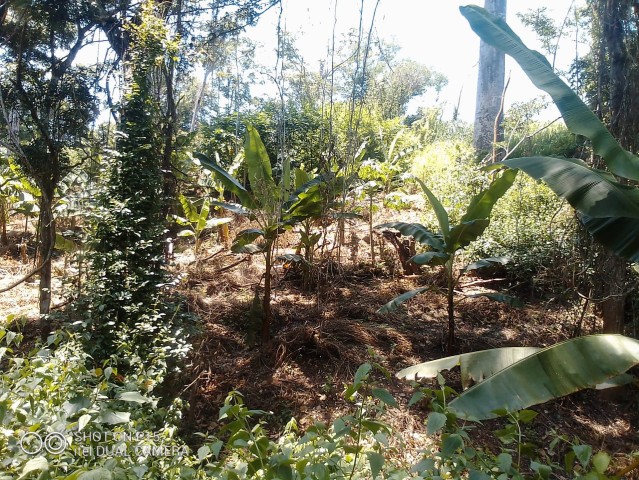 Venda Fazenda localizada no Bengo