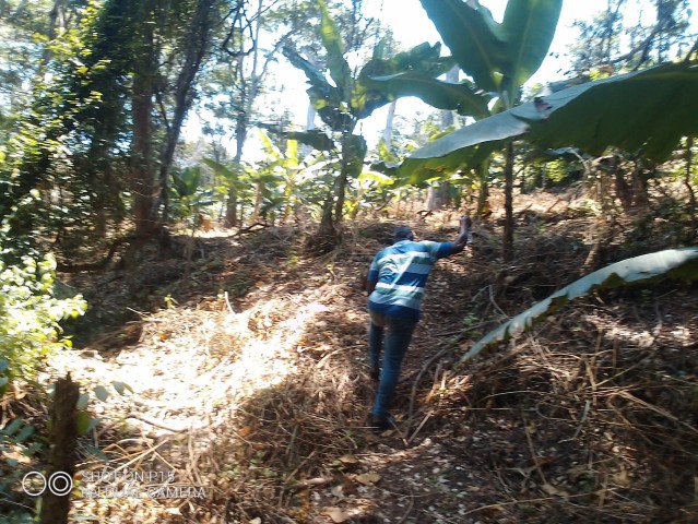 Venda Fazenda localizada no Bengo