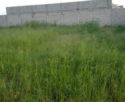 A venda VENDE-SE TERRENOS 10/20 - FRENTE A CENTRALIDADE DO SEQUELE