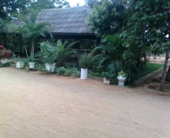 A venda Vende se está fazenda no Kikuchi Luanda