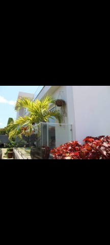 Venda Vivenda Duplex do tipo V4 com terraço no Benfica Rua do BFA