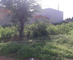 A venda Venda de Terreno