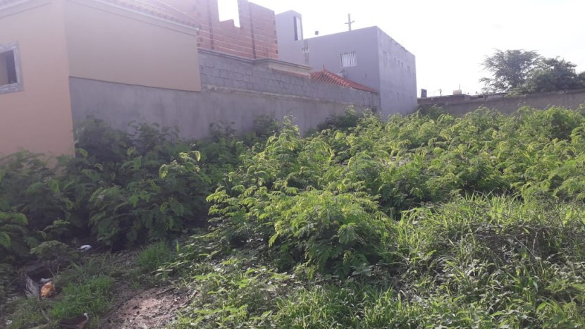 Venda Venda de Terreno