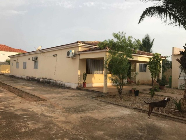 Venda Uma Vivenda, com um quintal vasto de 25m x 40m