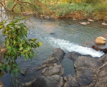 A venda TERRENO PROPÍCIO PARA SECTOR AGRÍCOLA 580 HECTARES EM MALANJE