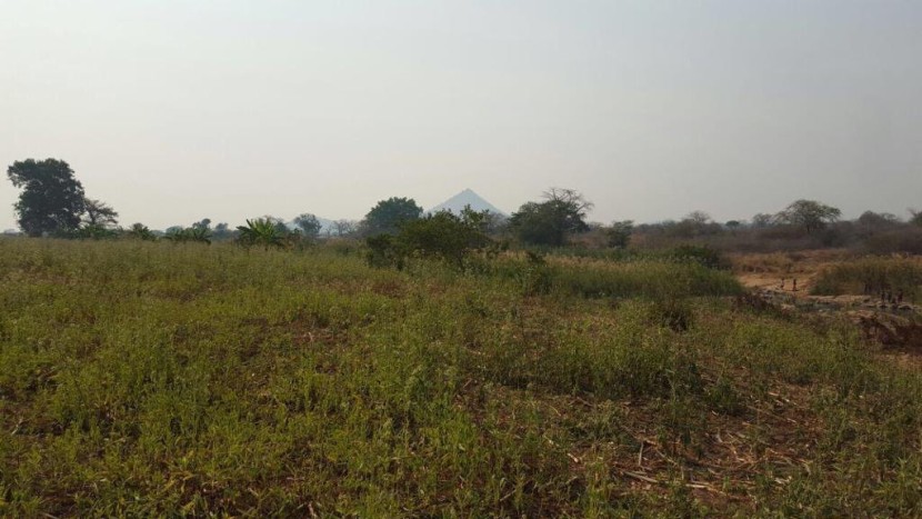 Venda TERRENO PROPÍCIO PARA SECTOR AGRÍCOLA 580 HECTARES EM MALANJE