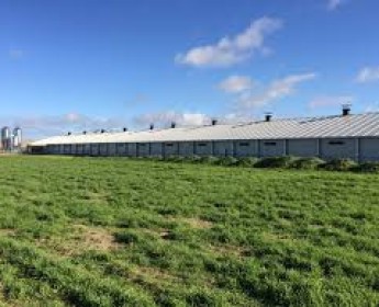 A venda Terreno de 4 hectares, na Via expresso - 11 de novembro