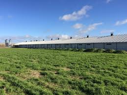 Venda Terreno de 4 hectares, na Via expresso - 11 de novembro