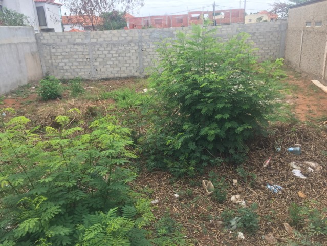 Venda Vende-se