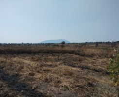 A venda Fazenda