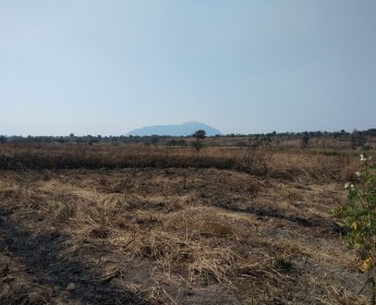 A venda Fazenda