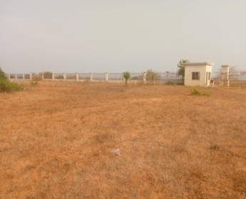 A venda Terreno 3 hectares na estrada n.100 Benfica /Ramiros