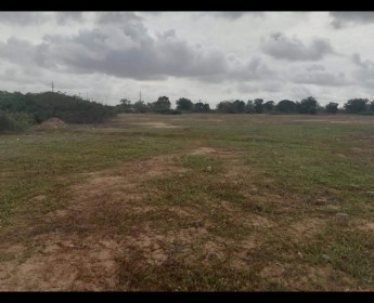 A venda 3Hectares na zona especial económica